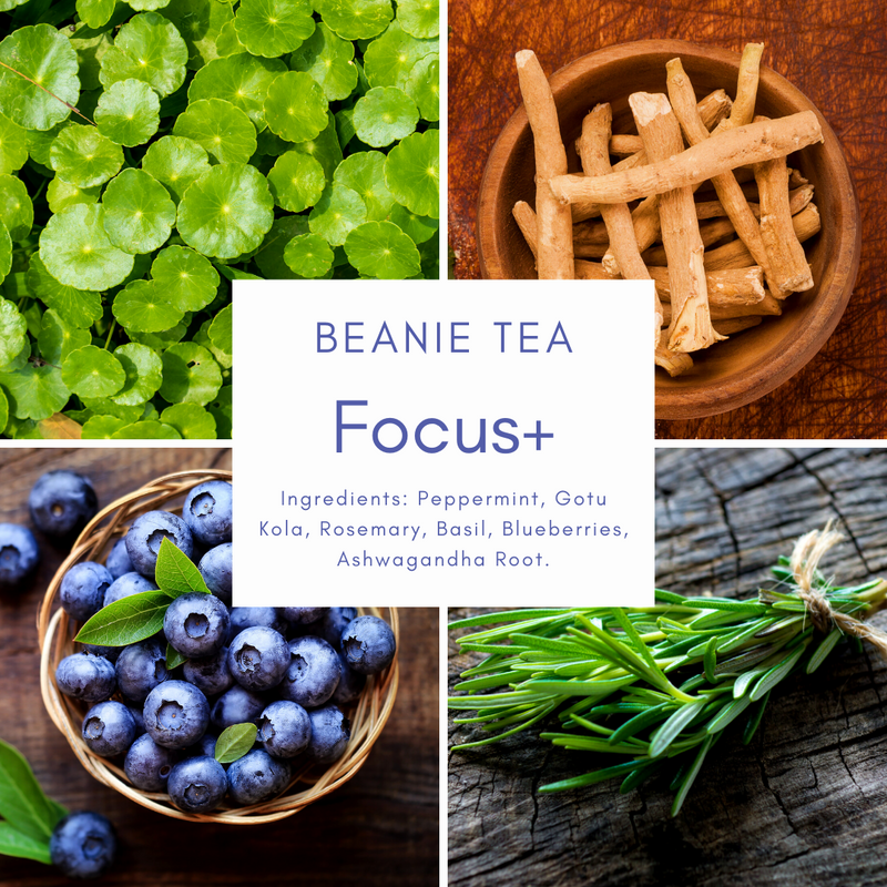Organic Focus+ Tea (Australia | 60g | Caffeine Free)
