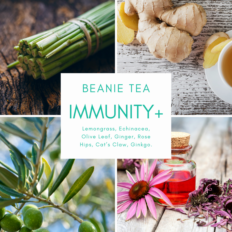 Organic Immunity+ Tea (Australia | 60g | Caffeine Free)
